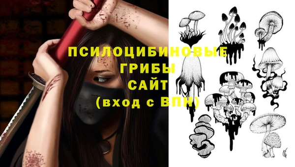 спиды Алексин